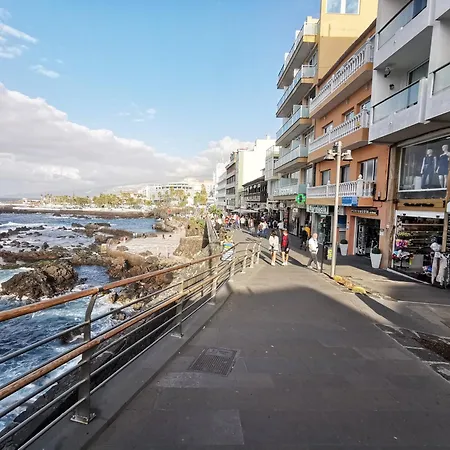 Home2book Stylish Drago *