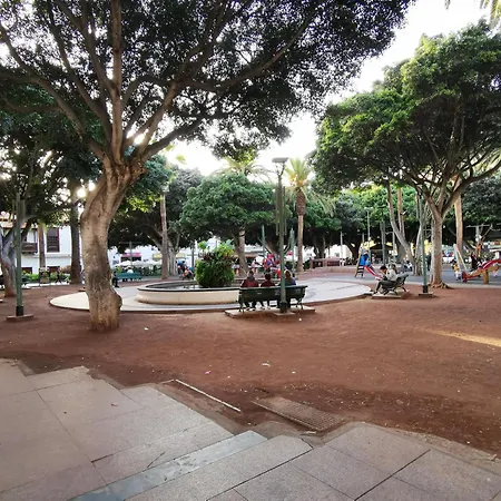 Daire Home2book Stylish Drago