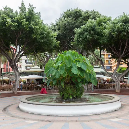 Home2book Stylish Drago