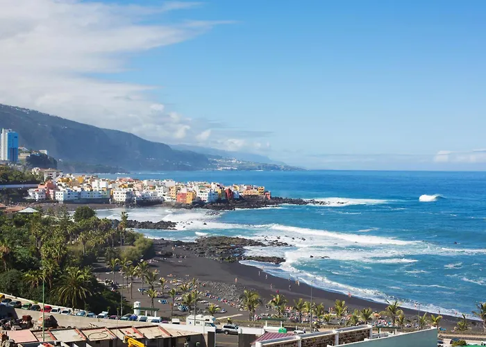 Home2book Stylish Drago *