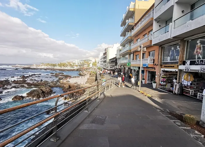 Home2book Stylish Drago *